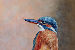 Der Eisvogel - The Kingfisher (2022)