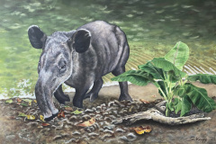 Tapir (2021)