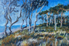 Windflüchter - Windfighter