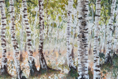 Birkenwald - Birch forest (2022)